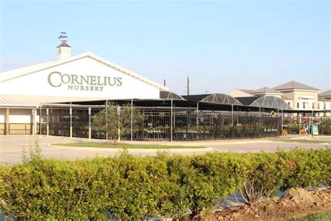 Cornelius nursery - 469-346-2989. Store Hours: Monday-Friday 9am-7pm. Saturday & Sunday 9am-6pm. Closed Easter Sunday. Hebron Garden Center Calloway's has beautiful flowers and expert gardening advice. Plants are chosen for superior performance. 